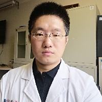 汪磊