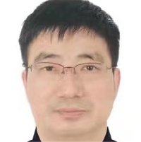 陈历排