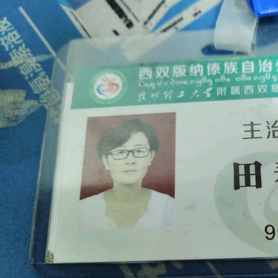 田春平