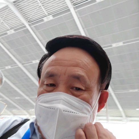 苗子金