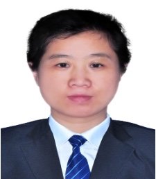 陈丽新