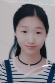 吴迪