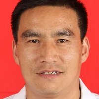 杨武