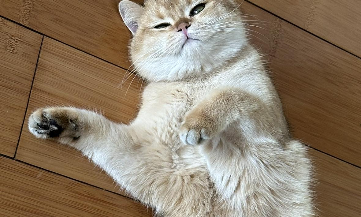 刘永计